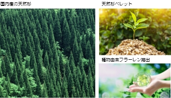 国内産の天然杉、天然杉ペレット、植物由来フラーレン抽出